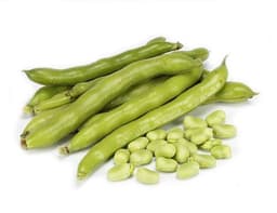image of Broad Beans
