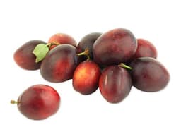 image of Victoria Plums