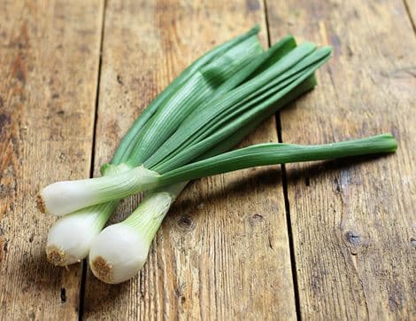 Fresh Bunched Onions, Organic