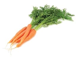 image of Bunched Carrots