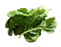 image of Spinach