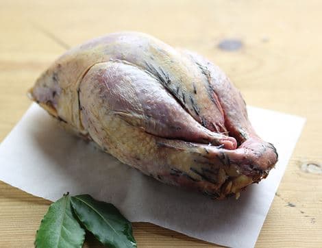 Pheasant, Wild