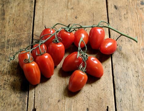 Mini San Marzano Tomatoes