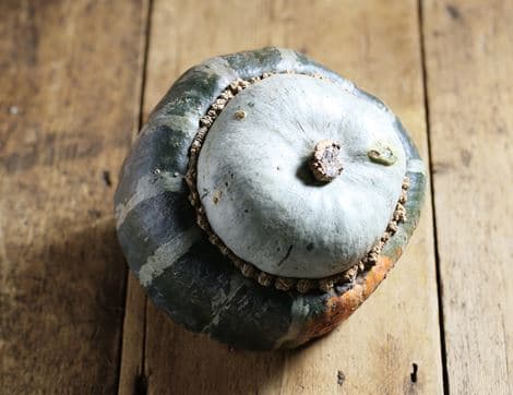 Turban Squash, Organic