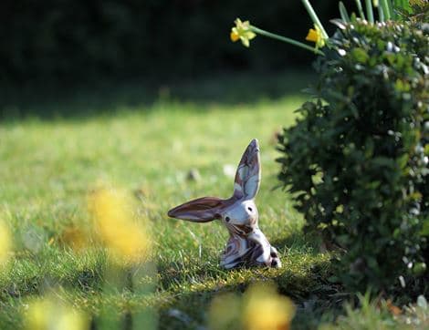 Solid Marbled Chocolate Rabbit image thumbnail