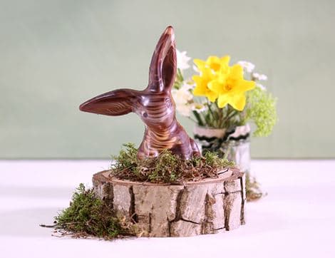 Solid Marbled Chocolate Rabbit image thumbnail