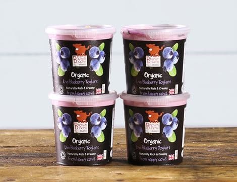 Blueberry Yogurt