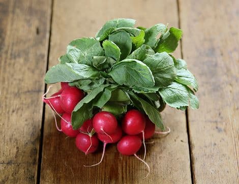 English Radish Bunch