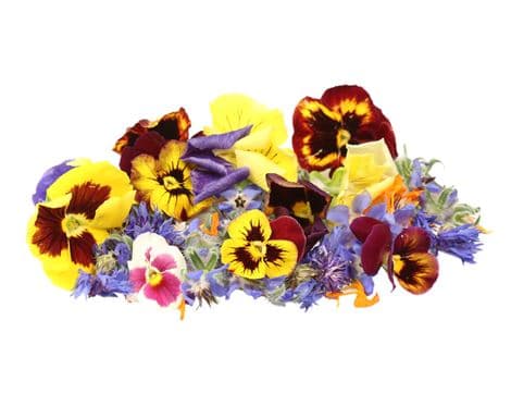Edible Flowers (15g)