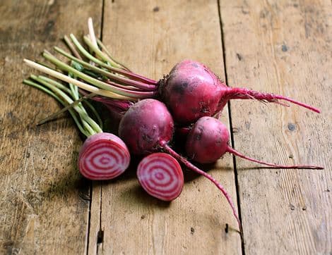 Bunched Chioggia Beetroot