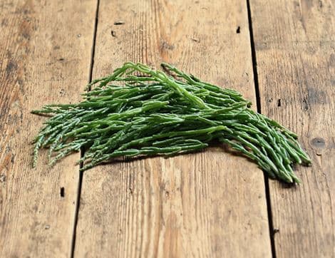 Wild Marsh Samphire