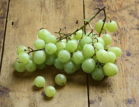 White Grapes, Seedless