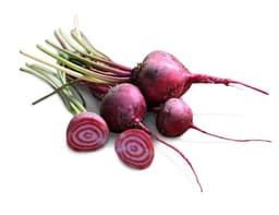 image of Bunched Chioggia Beetroot