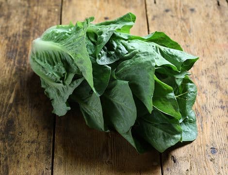 Cos Lettuce