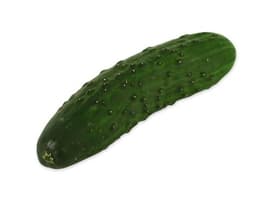 image of Ridge Cucumber