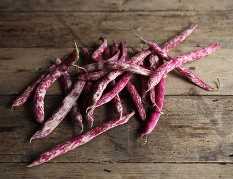 Borlotti Beans image thumbnail