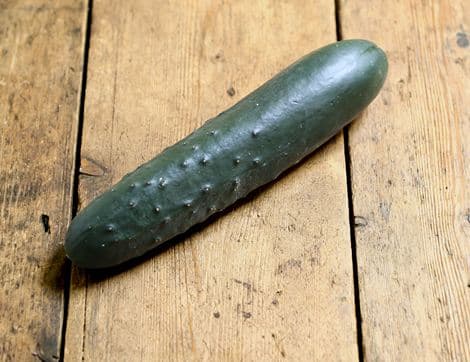 Ridge Cucumber image thumbnail