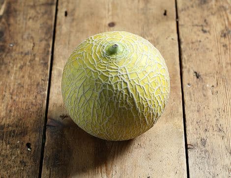 Galia Melon image thumbnail