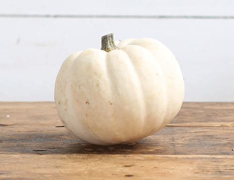 Casperita Squash