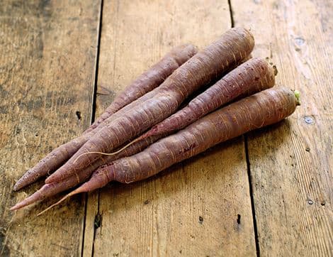 Purple Carrots