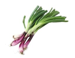 image of Red Bunched Onions
