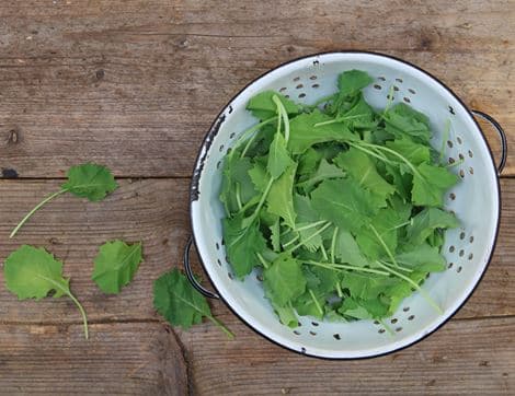 Baby Kale (100g) image thumbnail