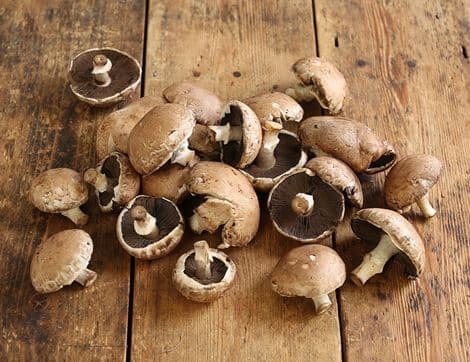 Wonky Mushrooms, Peat-Free