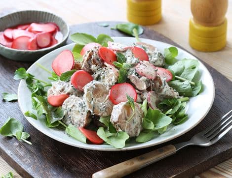 Seasonal Salad Recipe Kit