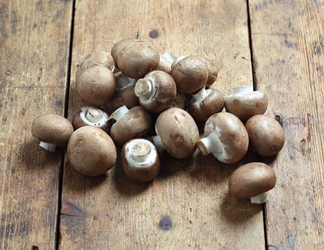 Chestnut Button Mushrooms, Peat-Free