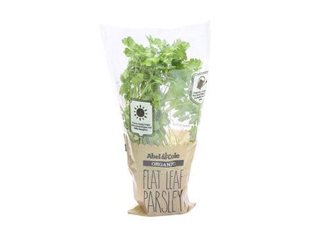 Flat Leaf Parsley in a Pot