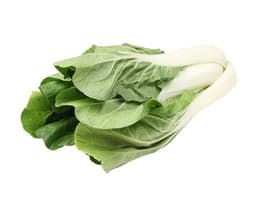 image of Bok Choi
