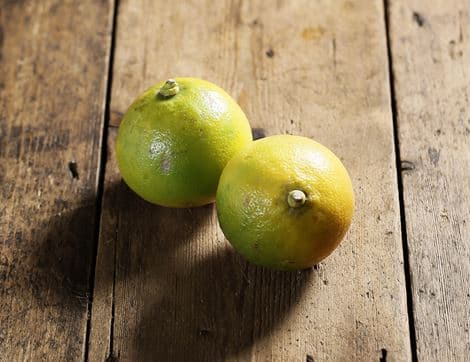 Bergamot Citrus