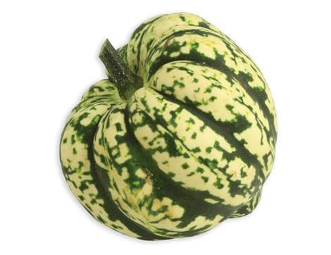 Squash, Medium image thumbnail