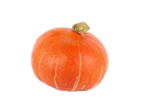 Squash, Medium
