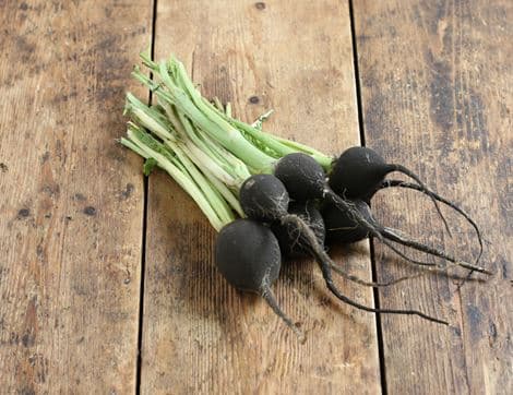 Bunched Black Radish