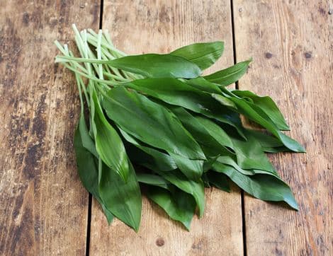 Wild Garlic, Organic
