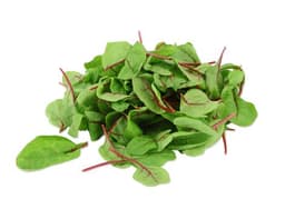 image of Baby Red Chard