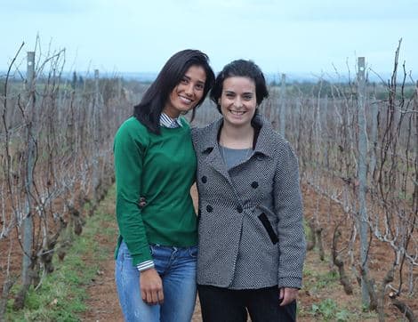 Il Grillo di Santa Tresa Vino Spumante image thumbnail