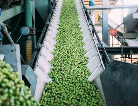 Extra Virgin Olive Oil from Spain image thumbnail