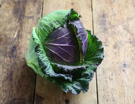 January King Cabbage