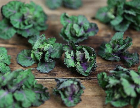 Kalettes image thumbnail