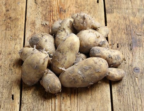 Jersey Royal Potatoes
