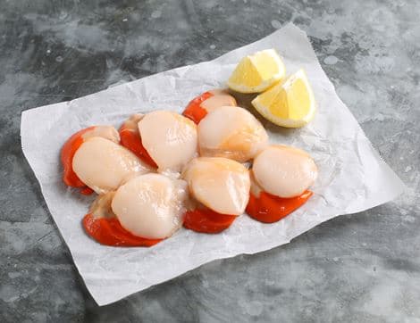 Limited Edition Hand-Dived Wild Scallops