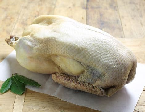Goose, Large image thumbnail