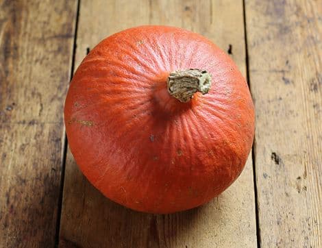 Small Hokkaido Squash