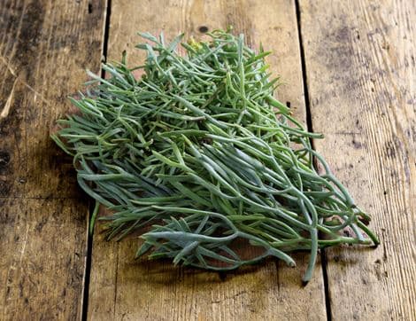 Wild Rock Samphire
