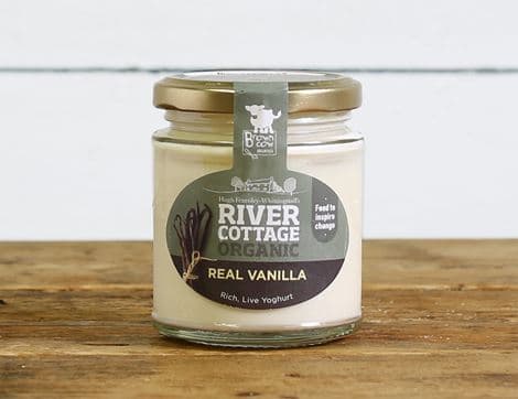 Vanilla Yogurt