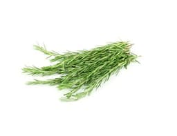 image of Rosemary