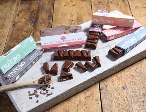 Coconut Raw Chocolate Bar image thumbnail