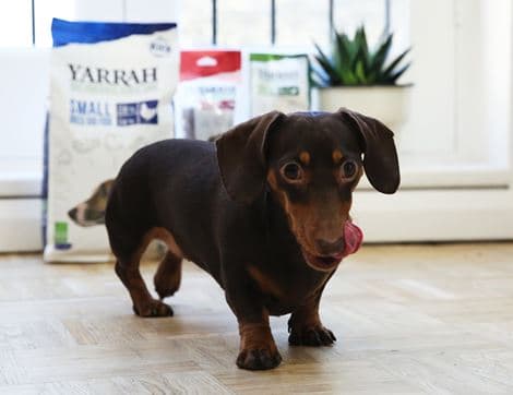 Vegetarian Chunks with Rosehip for Dogs image thumbnail